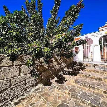 Stunning Bungalow, Pool, Terrace, Beach! Se12 Lejlighed *